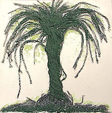 dien boom.JPG